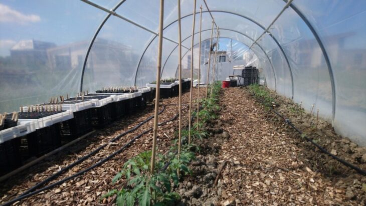 2020-05-28-111454-kas