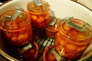 31,31,358,366.404541 31,31,358,366.404541