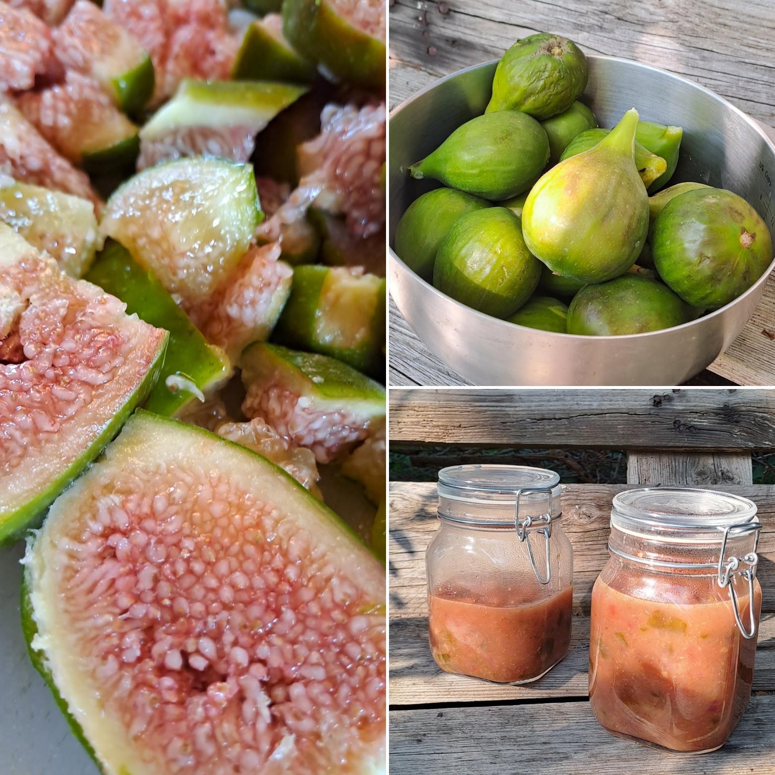 Chutney uit eigen tuin